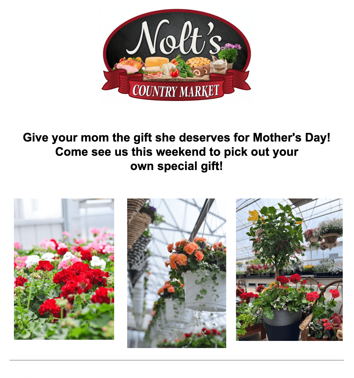Nolt’s Country Market Mother’s Day ad with three photos of colorful potted flowers and hanging baskets inside a greenhouse.